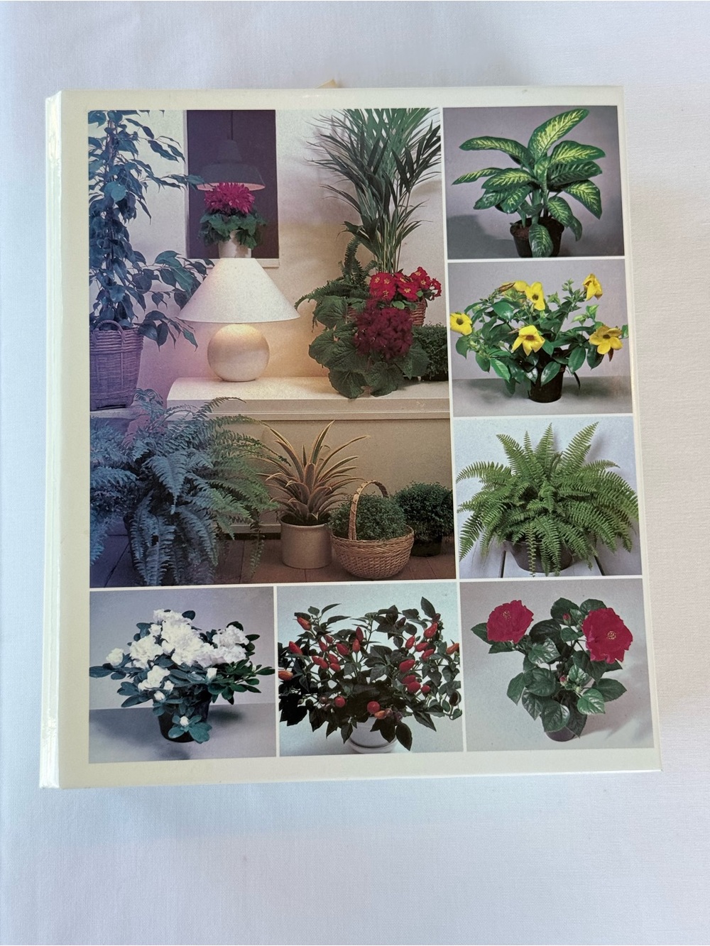 Success with House Plants 1985